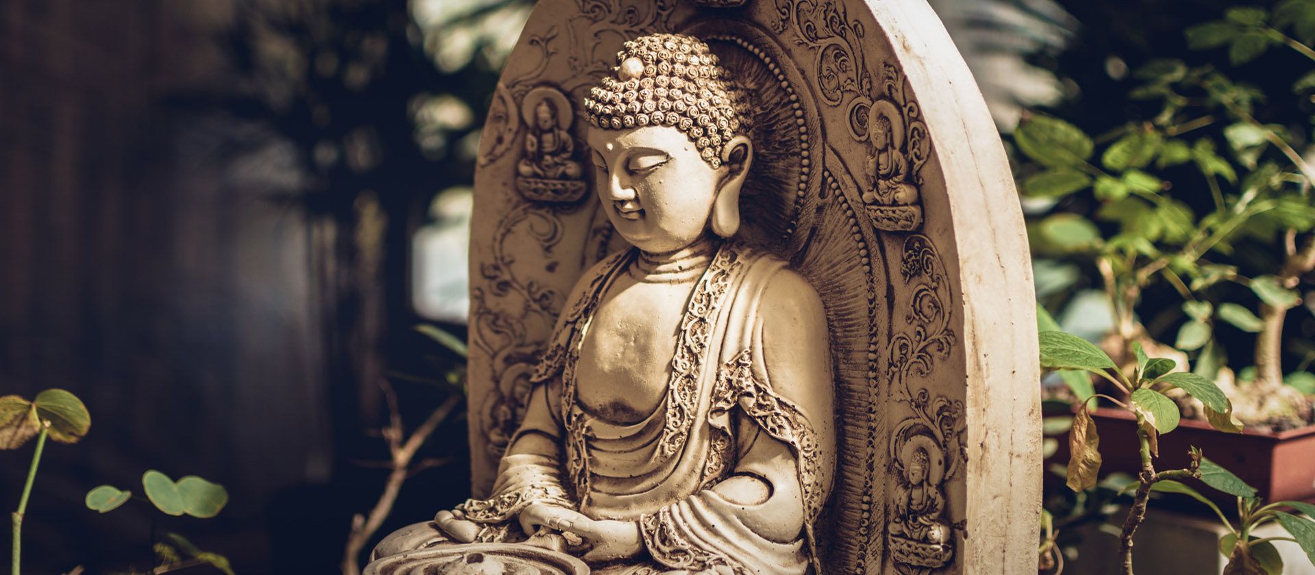 Wood sculpture of Lord Buddha in Jnana mudra - Artisans Crest